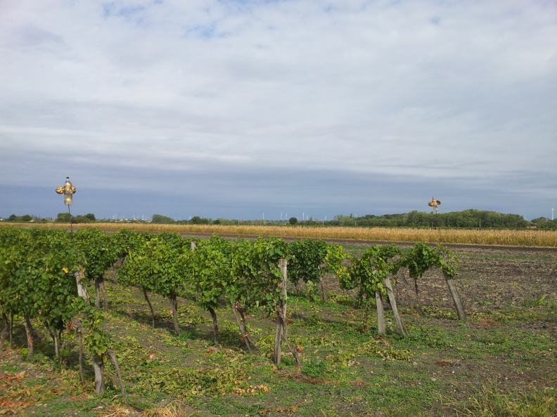 20120923_114516.jpg
